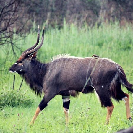 Ouklip Game Lodge Klipdrift Ngoại thất bức ảnh