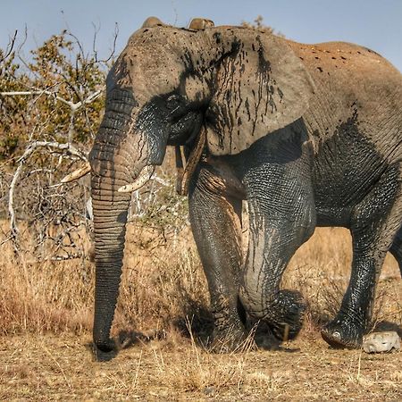 Ouklip Game Lodge Klipdrift Ngoại thất bức ảnh