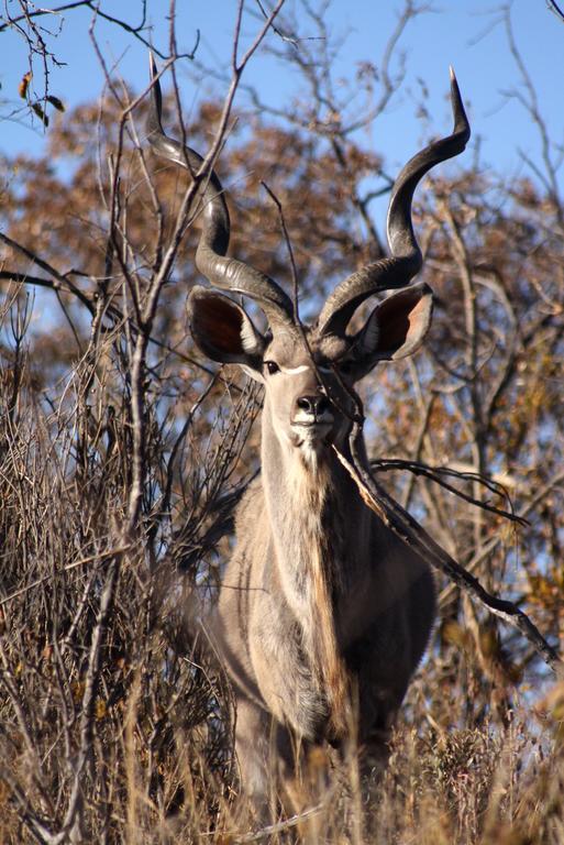 Ouklip Game Lodge Klipdrift Ngoại thất bức ảnh