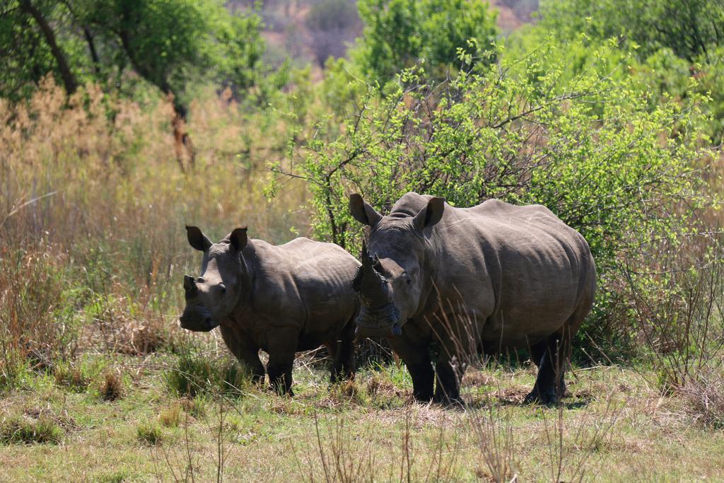 Ouklip Game Lodge Klipdrift Ngoại thất bức ảnh