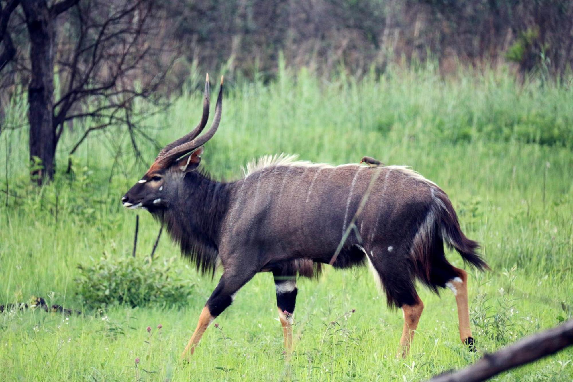 Ouklip Game Lodge Klipdrift Ngoại thất bức ảnh