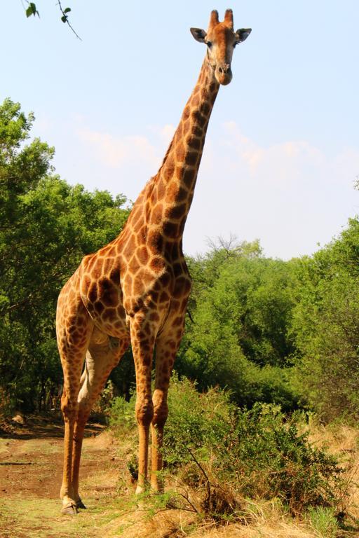 Ouklip Game Lodge Klipdrift Ngoại thất bức ảnh