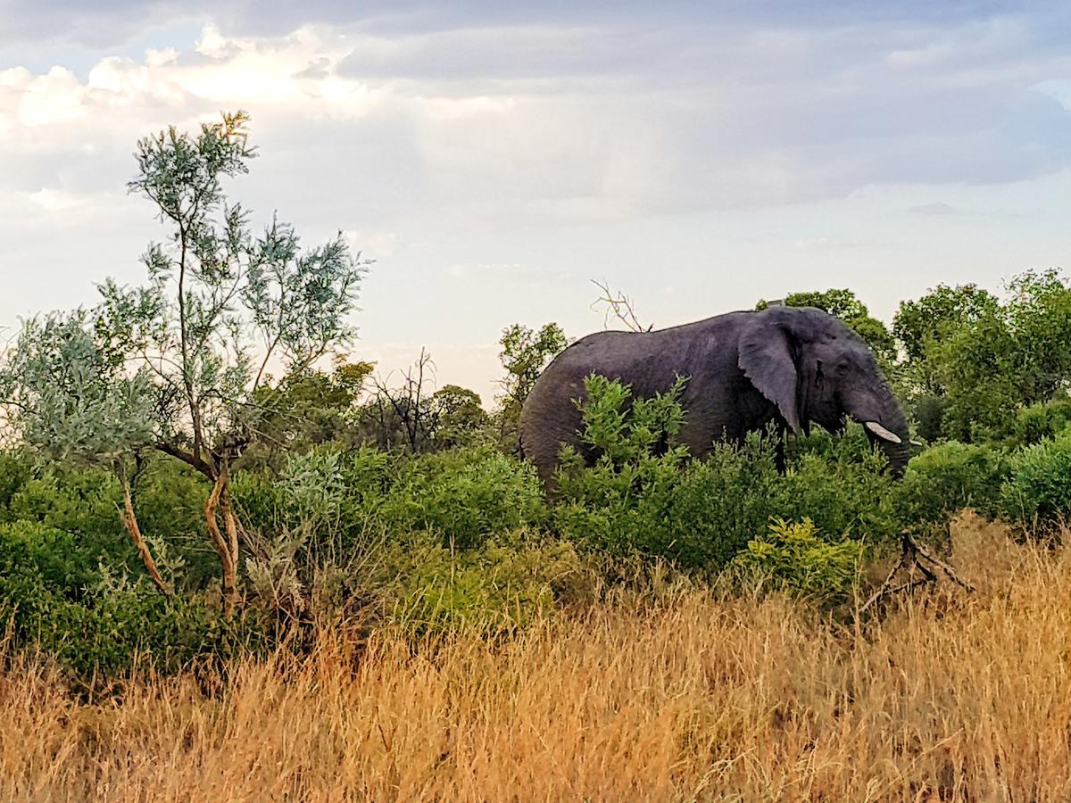 Ouklip Game Lodge Klipdrift Ngoại thất bức ảnh