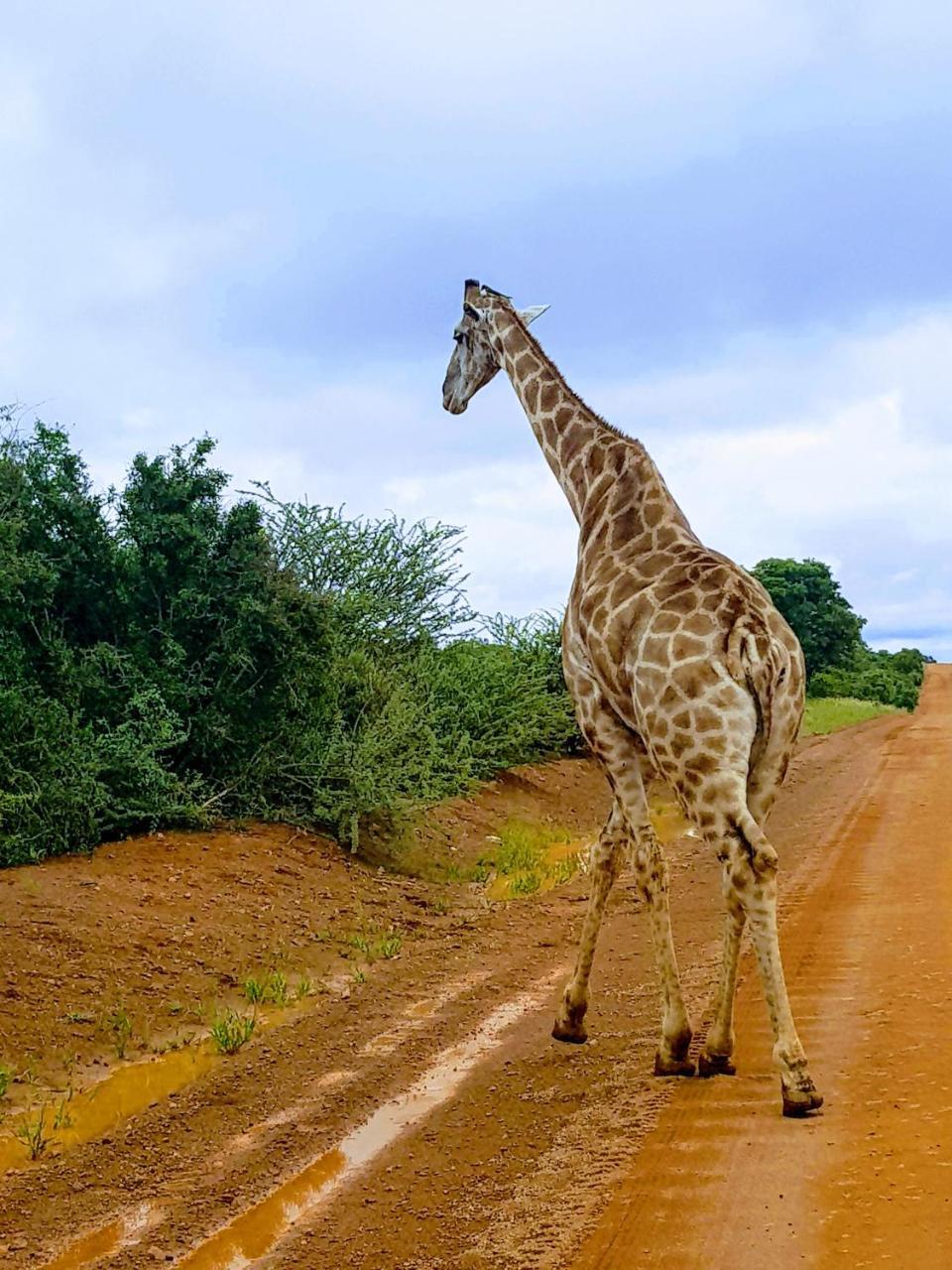 Ouklip Game Lodge Klipdrift Ngoại thất bức ảnh
